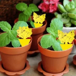 12-Pack Insektsfällor för Rabatt / Växter / Plantor