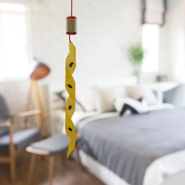 Pack med 4 Flugfällor – Insektsmedelsfri, Luktfri & Lätt att Installera