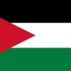 Hot Palestina flagga Flaggor & Vindstrutar