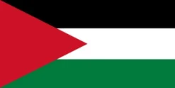 Hot Palestina flagga Flaggor & Vindstrutar