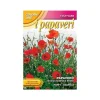 Hot PAPRIKASÅL RHOEAS ENKEL RÖD trädgård frö frön blommor Fröer & Lökar