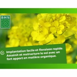 Clearance Plant fertiliser BHS 500 g Gödningsmedel