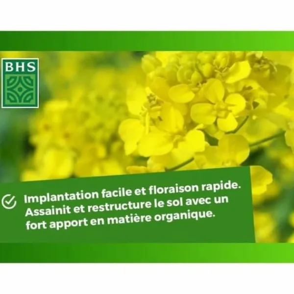 Clearance Plant fertiliser BHS 500 g Gödningsmedel