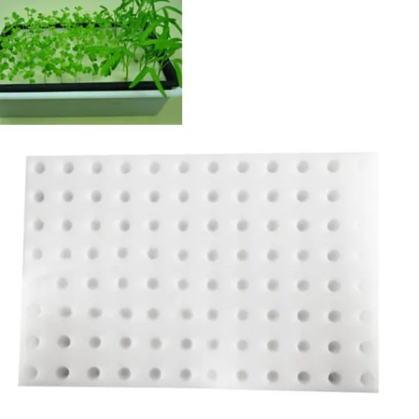 Plantsvamp Trädgård Jordlös Odling Hydroponisk Plantskola Svampar Vit 30x20x2.5cm Jord & Sand