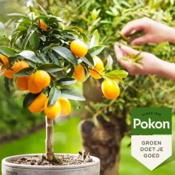 Hot Pokon - Flytande gödselmedel för medelhavsväxter - 500 ml Gödningsmedel