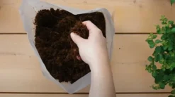 Best Pokon krukjord Kompakt - Kokosjord - Inomhus och utomhus - 50 liter Jord & Sand