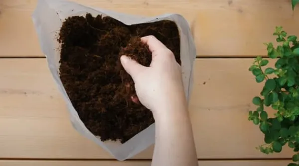 Best Pokon krukjord Kompakt - Kokosjord - Inomhus och utomhus - 50 liter Jord & Sand