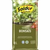 Potting compost Algoflash TBONZ6 Bonsai 6 L
