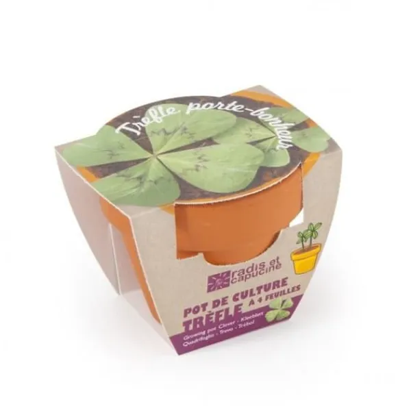 Online RÄDISOR OCH NATURA - 4-blad klöver kit Kit För Växt- & Örtplantering