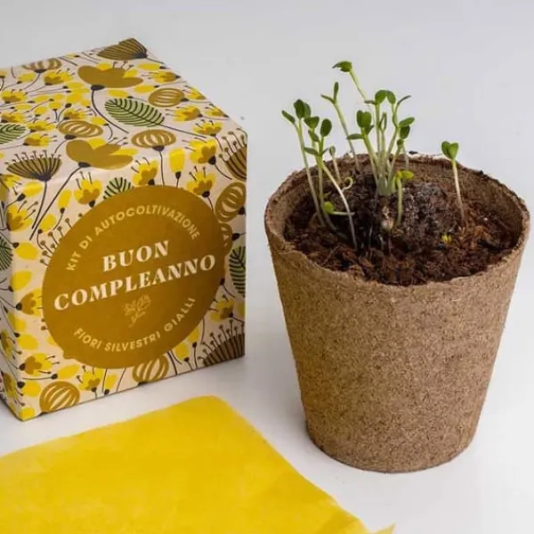RESET, KIT FÖR SJÄLVODLING, SÄG DET MED BLUMMOR - GRATTIS PÅ FÖDELSEDAGEN, HEMMET, GÅVOSIDÉER