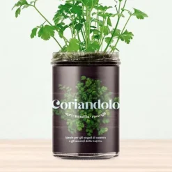 RESETA, KÖKENS TRÄDGÅRD - KORIANDER, HEMMA, GÅVOSIDÉER