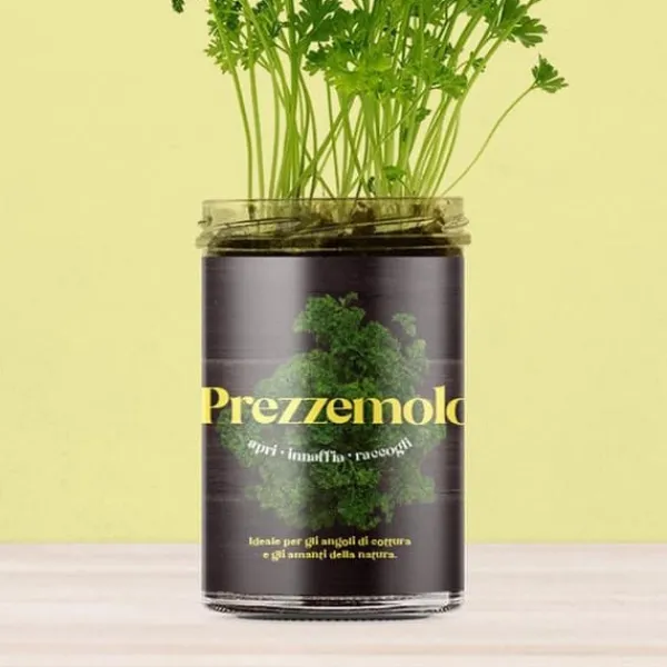 RESETEA, ORTO DA CUCINA - PREZZEMOLO, HEM, GÅVOFÖRSLAG Kit För Växt- & Örtplantering