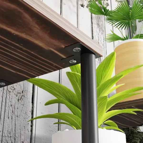Best Rootz Flower Stand med 4 nivåer - 4 -stegs växtstativ - Blommorpotthållare - Stable & Elegant - 80 cm x 24 cm x 61,5 cm Växtställ
