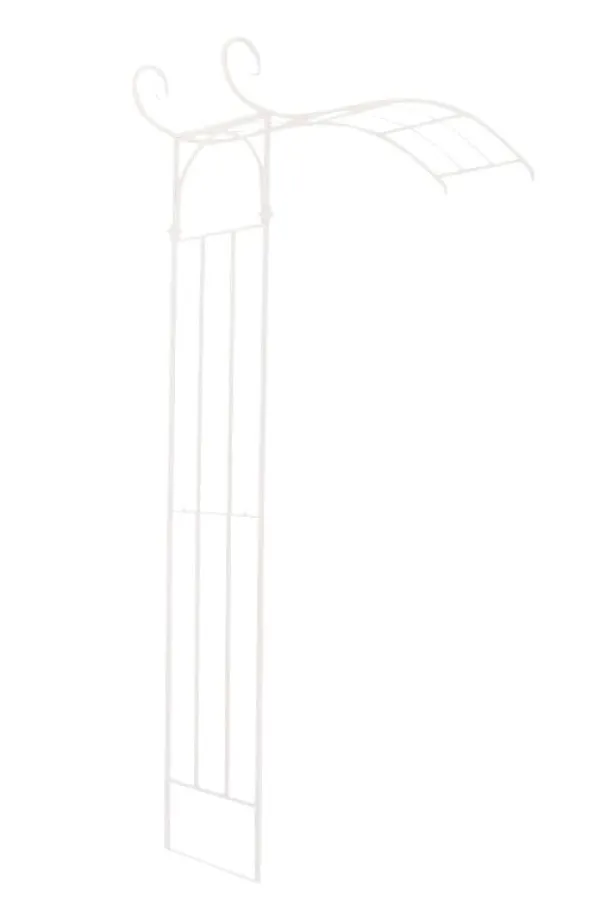 Rosenbågsjasmin 40 x 155 x 230 cm 2