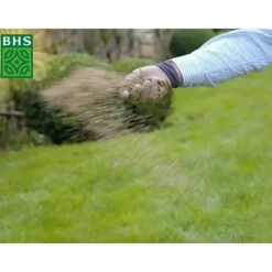 Best Rustikt gräs - BHS - 3 kg låda - Resistent mot tuffa väderförhållanden - Sol - Röd Fröer & Lökar