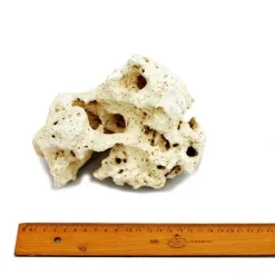 Sansibar Rock Gr. L 18-22 cm