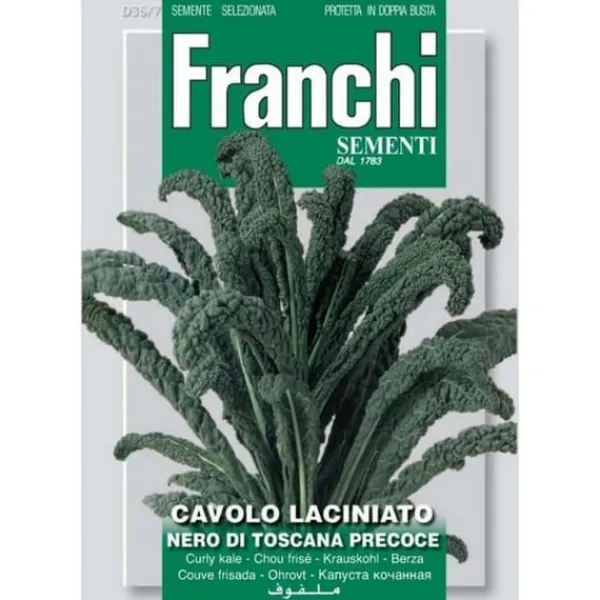 Hot SEMI CAVOLO LACINIATO NERO DI TOSCANA DOPPIA BUSTA FRANCHI Fröer & Lökar