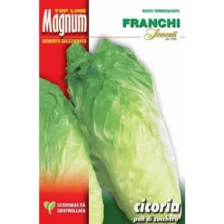 SEMI CICORIA PAN DI ZUCCHERO FRANCHI SEMENTI Fröer & Lökar
