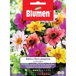 Online SEMI DALIA FIORE SEMPLICE MIX BLUMEN Fröer & Lökar