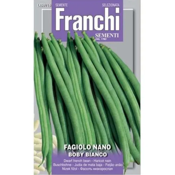 Hot SEMI FAGIOLO NANO BOBY BIANCO FRANCHI SEMENTI Fröer & Lökar