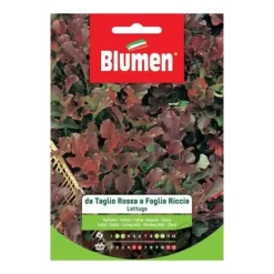 Online SEMI LATTUGA TAGLIO ROSSA RICCIA BLUMEN Fröer & Lökar