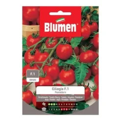Outlet SEMI POMODORO CILIEGIA F1 IBRIDO BLUMEN Fröer & Lökar