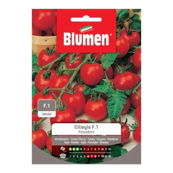 Outlet SEMI POMODORO CILIEGIA F1 IBRIDO BLUMEN Fröer & Lökar
