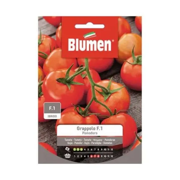 SEMIPOMODORO KLASSTOMAT ROBIN BLUMEN TRÄDGÅRDSFRÖN