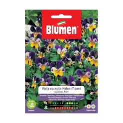 Clearance SEMI-VIOLA HELEN MOUNT BLUMEN SEMENTI FIORI Fröer & Lökar