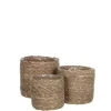 Set av växtkorgar Atlantic - MICA DECORATIONS - Sjögräs - H16 x Ø16 cm
