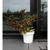 Självbevattnande kruka - GARDEN ID Glamour - Vit 40 cm - Kornig yta - Inomhus/utomhus - Snygg design.