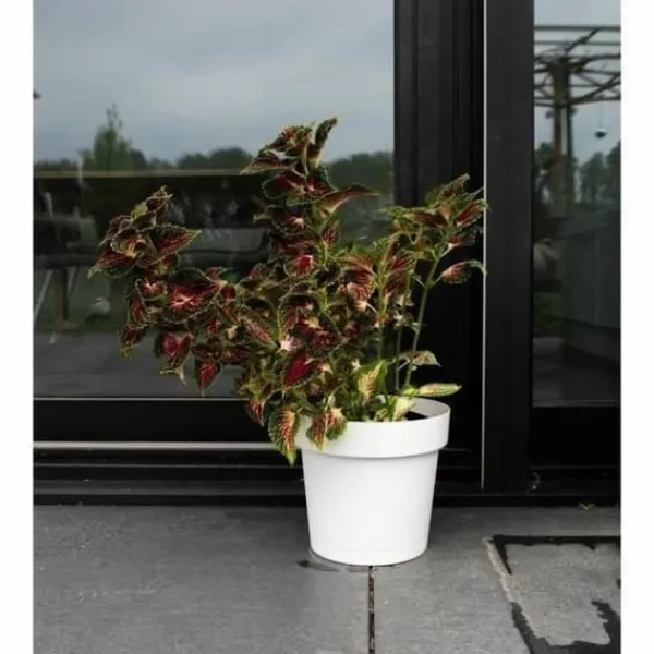 Självvattnande blomkruka Garden ID Vit