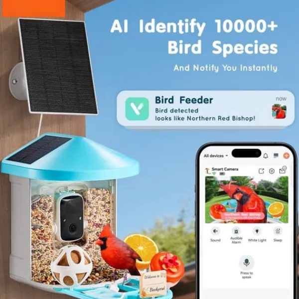 Smart fågelmatare med AI-kamera, identifierar fågelarter, solenergi, automatisk matning, hållbarhet, fågelskådning