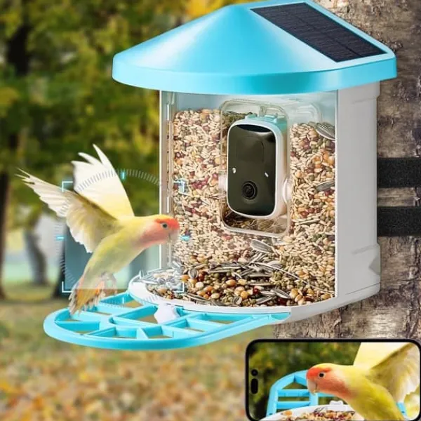 Smart fågelmatare med AI-kamera, identifierar fågelarter, solenergi, automatisk matning, hållbarhet, fågelskådning
