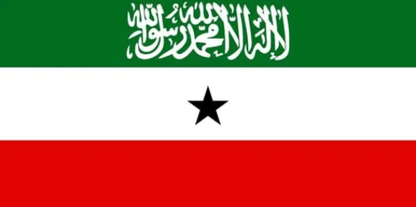 Discount Somaliland flagga Somalia Flaggor & Vindstrutar