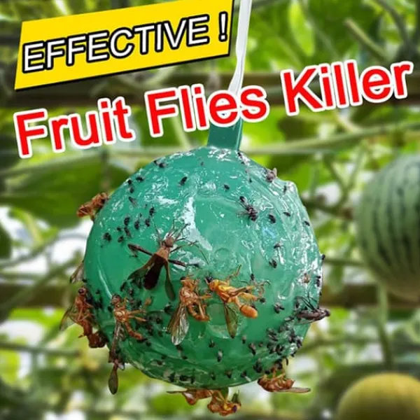 Hot 4st hängande flugfälla boll fruktflugefångare klibbig fälla utomhus skadedjursfångare för trädgårdsväxter Skadedjursfällor