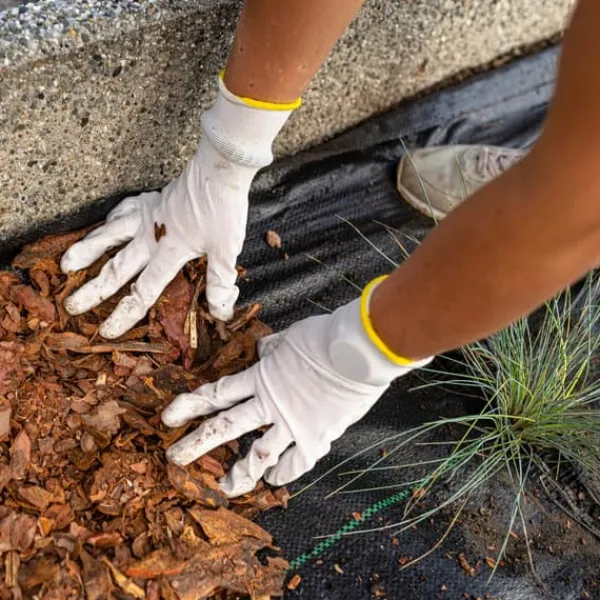 Svart agrotextil för ogräs, mulching, 3,2x100m, 70g pinnar Markduk & Fiberduk