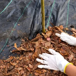 Svart agrotextil för ogräs, mulching, 3,2x100m, 70g pinnar Markduk & Fiberduk