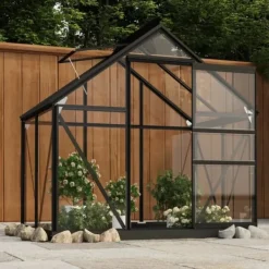 The Living Store Glasväxthus antracit 155x103x191 cm aluminium - Växthus Växthus
