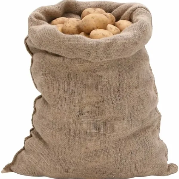 Clearance The Living Store Jutesäckar 10 st 60x105 cm 100% jute 220 gsm - Resväskor & väskor Trädgårdskorgar