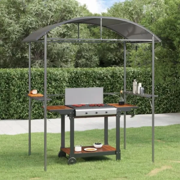 Best The Living Store Tak för grill med sidohyllor antracit 220x115x230 cm stål - Partytält & paviljoner Tält & Lusthus