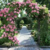 Best Trädgårdsbåge & Spaljé - Gotisk Portal - 216 cm Hög - Pulverlackerat Järn - För Klätterväxter & Bröllop - Utomhus - Svart Valvbågar, Spaljéer, Bersåer & Pergolor
