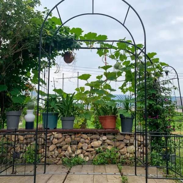 Best Trädgårdsbåge i metall för klätterväxter, hållbar svart båge för rosor och vinrankor, perfekt för bröllop, fest & trädgård 7,15 ft Valvbågar, Spaljéer, Bersåer & Pergolor
