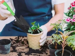 New Trädgårdsspade / Planteringsspade - 32 cm Trädgårdsverktyg