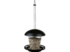 Trixie 54580, Hanging, Svart, Transparent, Plast, 0,9 l, Frön, 170 mm