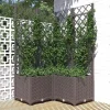 vidaXL Odlingslåda med spaljé brun 80x80x136 cm PP - Krukor & odlingslådor