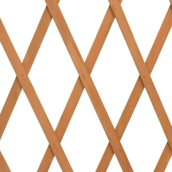 New Trädgårdsgaller Avskiljare Stöd för Klängväxter Rabatter Utomhus Orange 314828 Valvbågar, Spaljéer, Bersåer & Pergolor