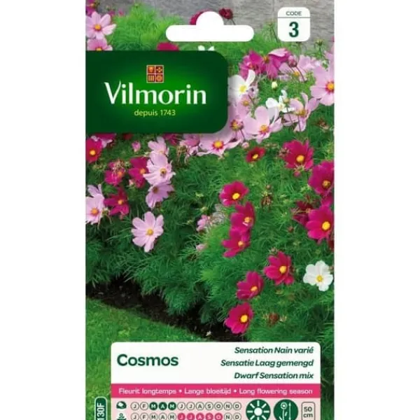 VILMORIN Cosmos Sensation dvärg varierad