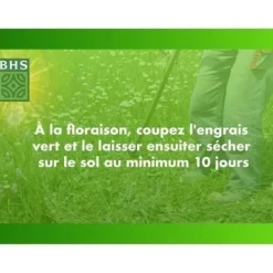 Vitklöver - BHS - 500 m² | Främjar biologisk mångfald, anpassar sig till alla jordtyper och motstår nedtrampning.
