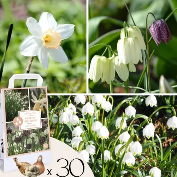 Våt trädgårdslåda - 30 blomsterlökar för fuktiga och regniga platser Fröer & Lökar